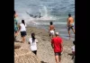 Ισπανία: Τόνος 300 κιλών προκάλεσε πανικό στην παραλία – Τον πέρασαν για καρχαρία