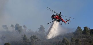 Πυρκαγιά στην Κεφαλονιά – Καίει σε δασική έκταση, επιχειρούν 4 εναέρια