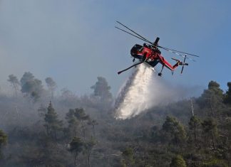 Φωτιά στη Θεσπρωτία, επιχειρούν 2 εναέρια
