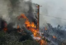 Ενεργειακές υποδομές και δασικές πυρκαγιές