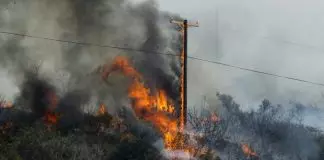 Ενεργειακές υποδομές και δασικές πυρκαγιές