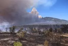 Δραματικές ώρες στη Δυτική Αττική: Εκκενώνεται η Ψάθα, οι φλόγες δίπλα στα σπίτια – Μπαράζ 112 για εκκενώσεις οικισμών – (VIDEO)