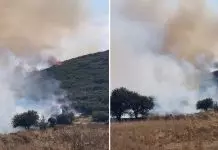 Φωτιά στο Στεφάνι Κορινθίας: Ενισχύθηκαν οι πυροσβεστικές δυνάμεις – “Δεν απειλούνται κατοικίες” λέει ο αντιδήμαρχος Πολιτικής Προστασίας