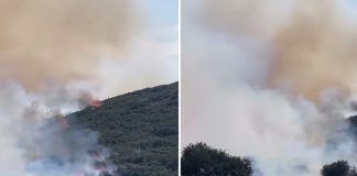 Φωτιά στο Στεφάνι Κορινθίας: Ενισχύθηκαν οι πυροσβεστικές δυνάμεις – “Δεν απειλούνται κατοικίες” λέει ο αντιδήμαρχος…