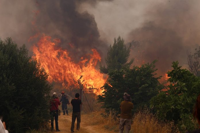 Τουρνάς για φωτιές στην Αττικοβοιωτία: Ήταν ακραίες οι συνθήκες που επικρατούσαν – 51 εναέρια δεν μπόρεσαν τα πετάξουν