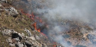 Ρέθυμνο: Ελεύθερος, με εγγύηση 10.000 ευρώ, ο Ισραηλινός που έκανε μπάρμπεκιου και προκάλεσε τη μεγάλη φωτιά στα Σελλιά – Τι υποστήριξε