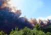 Εισαγγελική έρευνα για τα αιολικά πάρκα σε όλη τη χώρα μετά τη φωτιά στη Βοιωτία