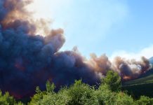 Εισαγγελική έρευνα για τα αιολικά πάρκα σε όλη τη χώρα μετά τη φωτιά στη Βοιωτία