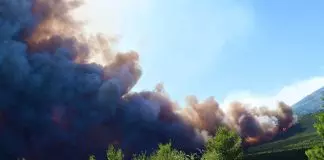 Εισαγγελική έρευνα για τα αιολικά πάρκα σε όλη τη χώρα μετά τη φωτιά στη Βοιωτία
