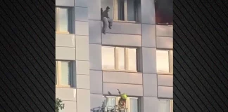 Δραματική διάσωση γυναίκας από φλεγόμενο κτήριο στο Βερολίνο: Πήδηξε από μεγάλο ύψος και την έπιασε πυροσβέστης στον αέρα-(VIDEO) Δραματική διάσωση γυναίκας από φλεγόμενο κτήριο στο Βερολίνο: Πήδηξε από μεγάλο ύψος και την έπιασε πυροσβέστης στον…