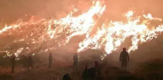 Πρωθυπουργικό σαρδάμ (;) για τις φωτιές:”Με ενδιαφέρει η επικοινωνία…”