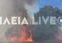 Φωτιά σε Γαστούνη και Κοττέικα Ηλείας, επιχειρούν ισχυρές δυνάμεις της Πυροσβεστικής, δείτε φωτογραφίες