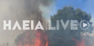 Φωτιά σε Γαστούνη και Κοττέικα Ηλείας, επιχειρούν ισχυρές δυνάμεις της Πυροσβεστικής, δείτε φωτογραφίες