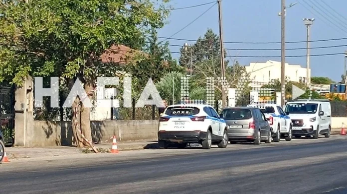 Δύο αστυνομικοί τραυματίες από την επίθεση των Ρομά στη Γαστούνη, ταυτοποιήθηκαν οι δράστες