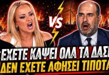 Φώσκολου ξεφτιλίζει τον Μαρκόπουλο: «Έχετε κάψει όλα τα δάση, δεν θα έχετε αφήσει τίποτα»-(VIDEO)