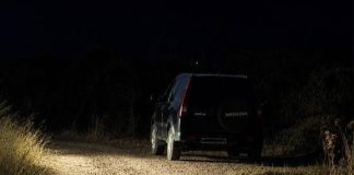 Θρίλερ στο Ναύπλιο με 58χρονο ψυχολόγο που βρέθηκε νεκρός σε προχωρημένη σήψη, συνελήφθησαν δύο Ινδοί ηλικίας 20 και 24 ετών