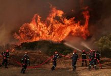 Φωτιά Πυρκαγιά Βοιωτία Πόρτο Γερμενό Ψάθα Πυροσβεστική Φωτιά τώρα – Πυρκαγιές σε εξέλιξη Φωτιά στη Δυτική Αττική Μάχη σε τρία μέτωπα στη Δυτική Αττική, «το μεγάλο στοίχημα για την πυρκαγιά είναι μετά τις 13:30»
