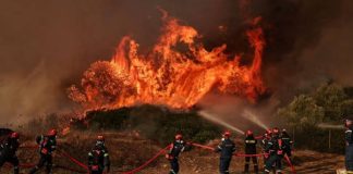 Φωτιά Πυρκαγιά Βοιωτία Πόρτο Γερμενό Ψάθα Πυροσβεστική Φωτιά τώρα – Πυρκαγιές σε εξέλιξη Φωτιά στη Δυτική Αττική Μάχη σε τρία μέτωπα στη Δυτική Αττική, «το μεγάλο στοίχημα για την πυρκαγιά είναι μετά τις 13:30»