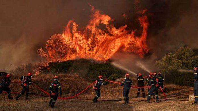 Φωτιά Πυρκαγιά Βοιωτία Πόρτο Γερμενό Ψάθα Πυροσβεστική Φωτιά τώρα – Πυρκαγιές σε εξέλιξη Φωτιά στη Δυτική Αττική Μάχη σε τρία μέτωπα στη Δυτική Αττική, «το μεγάλο στοίχημα για την πυρκαγιά είναι μετά τις 13:30»