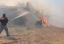 Ο δήμαρχος Στυλίδας ο ένας από τους δύο που συνελήφθησαν για τη φωτιά που ξεκίνησε από τη Βοιωτία