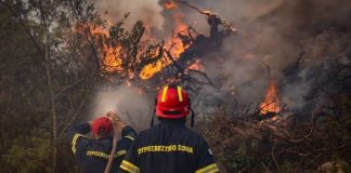 Στο μικροσκόπιο της Πυροσβεστικής οι φωτιές σε Τρίκαλα, Βόλο και Πήλιο: Τα βίντεο που εξετάζονται για πιθανούς εμπρησμούς Στο μικροσκόπιο της Πυροσβεστικής οι φωτιές σε Τρίκαλα, Βόλο και Πήλιο: Τα βίντεο που εξετάζονται για πιθανούς…