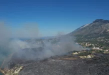 Σε Πάστρα, Κρεμμύδι και Μαυράτα το πύρινο μέτωπο στην Κεφαλονιά, συνελήφθη 44χρονος για εμπρησμό από πρόθεση