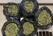 Καλαμάτα: Αστυνομικοί κατέσχεσαν πάνω από 10 κιλά κάνναβης – Χειροπέδες σε τρία άτομα