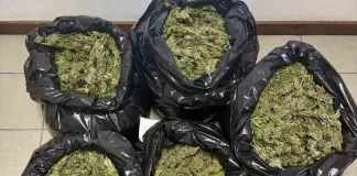 Καλαμάτα: Αστυνομικοί κατέσχεσαν πάνω από 10 κιλά κάνναβης – Χειροπέδες σε τρία άτομα