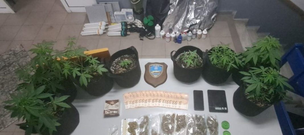 Καβάλα: Συνελήφθη 56χρονος με κάνναβη, δενδρύλλια και παράνομο κυνηγετικό όπλο
