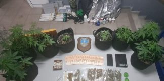 Καβάλα: Συνελήφθη 56χρονος με κάνναβη, δενδρύλλια και παράνομο κυνηγετικό όπλο