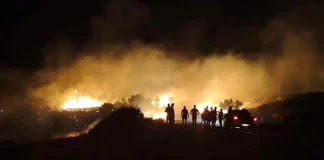 Φωτιά στη Σητεία στην περιοχή Αχλάδια, κοντά σε πάρκο με ανεμογεννήτριες, πνέουν ισχυροί άνεμοι στην περιοχή