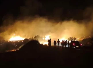 Φωτιά στη Σητεία στην περιοχή Αχλάδια, κοντά σε πάρκο με ανεμογεννήτριες, πνέουν ισχυροί άνεμοι στην περιοχή