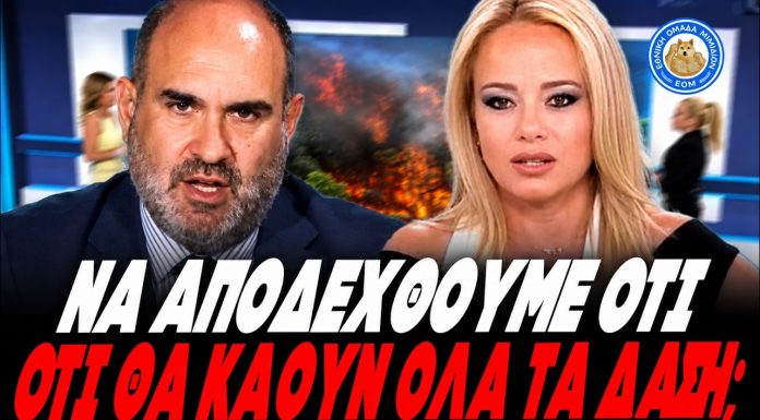 Φώσκολου κάνει ρόμπα τον Μαρκόπουλο για τις φωτιές:«Να το πάρουμε απόφαση ότι θα καούν όλα τα δάση» -(VIDEO)