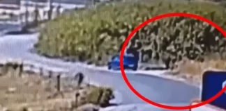 Κακουργηματική δίωξη στον 59χρονο για έξι φωτιές στη Σίνδο: «Τις έβαζα για να ξεδίνω από τη δουλειά»