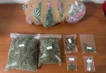 Κατερίνη: Συνελήφθη άνδρας με φυτεία κάνναβης στο σπίτι του