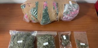 Κατερίνη: Συνελήφθη άνδρας με φυτεία κάνναβης στο σπίτι του
