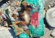 Σε βράχια και θάλασσα ψάχνουν για ναρκωτικά στην Άνδρο, κατασχέθηκαν 2,3 κιλά πιθανής κοκαΐνης