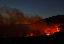 Δεύτερη νύχτα αγωνίας για τη φωτιά στην Αττικοβοιωτία: Μάχη για να μην φτάσουν οι φλόγες σε Βίλια και Μέγαρα, πάνω από 66.000 στρέμματα έχουν γίνει στάχτη