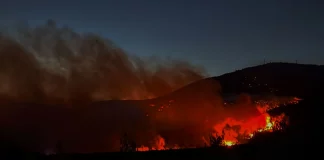 Δεύτερη νύχτα αγωνίας για τη φωτιά στην Αττικοβοιωτία: Μάχη για να μην φτάσουν οι φλόγες σε Βίλια και Μέγαρα, πάνω από 66.000 στρέμματα έχουν γίνει στάχτη