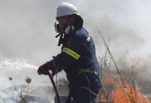 Ξέσπασμα από το Σωματείο Πυροσβεστών για την αναστολή αδειών: «Ο πυροσβέστης δεν είναι μηχανή, δεν είναι αναλώσιμος – Δεν θέλουμε να θρηνήσουμε άλλους συναδέλφους»