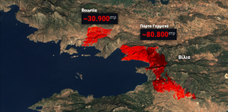 Meteo: Πάνω από 111.000 στρέμματα καμένα στις πυρκαγιές σε Βοιωτία και Αττική