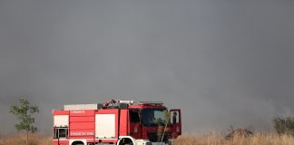 Χωρίς ενεργό μέτωπο η φωτιά σε δασική έκταση στα Γρεβενά