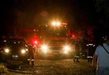 Φωτιά τώρα σε δάσος στην Λάιστα Ιωαννίνων, κινητοποίηση της Πυροσβεστικής
