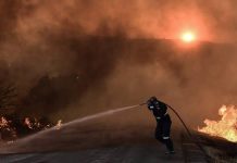Κοκοτσάκης: Πυρκαγιές…Η στάχτη είναι ίδια για όλους…οι συνέπειες όμως;