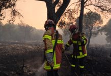 Φωτιά τώρα σε αγροτική έκταση στο Ακόντιο Βοιωτίας