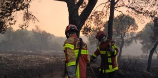 Φωτιά τώρα σε αγροτική έκταση στο Ακόντιο Βοιωτίας