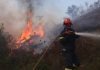 Φωτιά στη Χαλκιδική: Καίγονται σπίτια, μπαράζ 112 για εκκενώσεις, ενισχύονται οι πυροσβεστικές δυνάμεις – (VIDEO-ΦΩΤΟ)