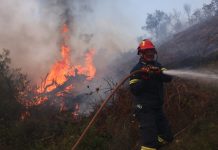 Φωτιά στη Χαλκιδική: Καίγονται σπίτια, μπαράζ 112 για εκκενώσεις, ενισχύονται οι πυροσβεστικές δυνάμεις – (VIDEO-ΦΩΤΟ)
