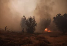 Δύο συλλήψεις στην Κορινθία για πυρκαγιά που προκλήθηκε από βραχυκύκλωμα σε φωτοβολταϊκό πάρκο