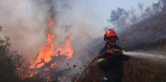 Φωτιά στη Χαλκιδική: Καίγονται σπίτια, μπαράζ 112 για εκκενώσεις, ενισχύονται οι πυροσβεστικές δυνάμεις – (VIDEO-ΦΩΤΟ)